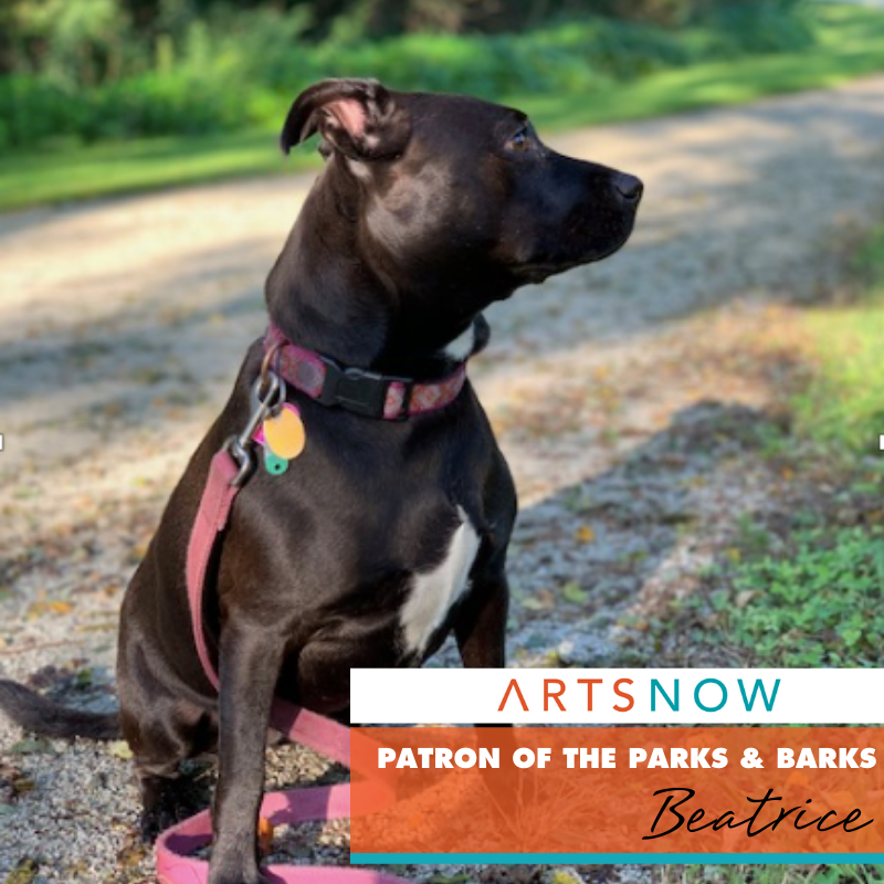 Thumbnail image for: ArtsNow Patron Spotlight: Beatrice (and Elizabeth Walters)